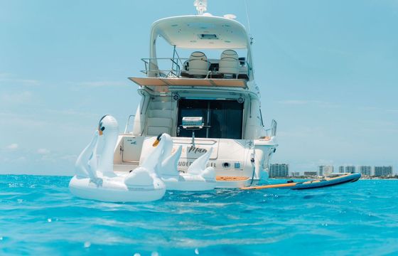 Motor yacht Sea Ray 52 Flybridge