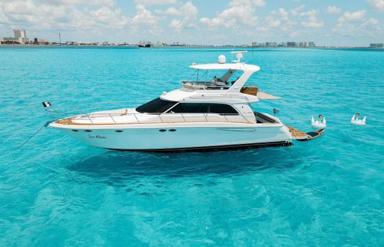 Motor yacht Sea Ray 52 Flybridge