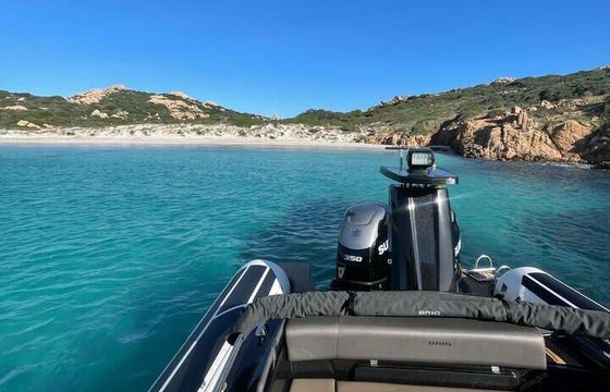Motorboat BRIG Eagle 10 700hp
