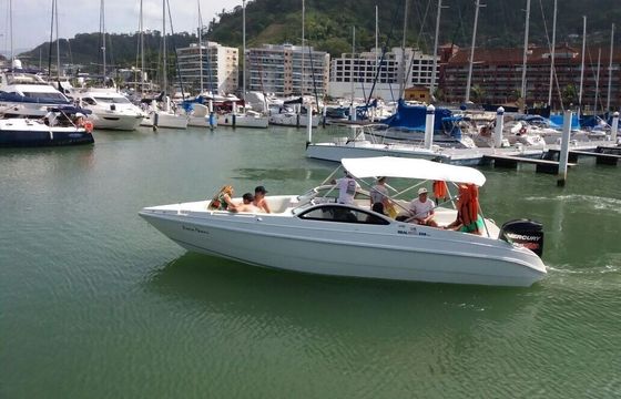 Motor yacht Real 25 feet 350hp
