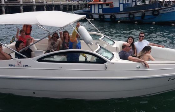 Motor yacht Real 25 feet 350hp