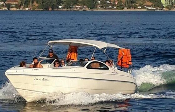 Motor yacht Real 25 feet 350hp