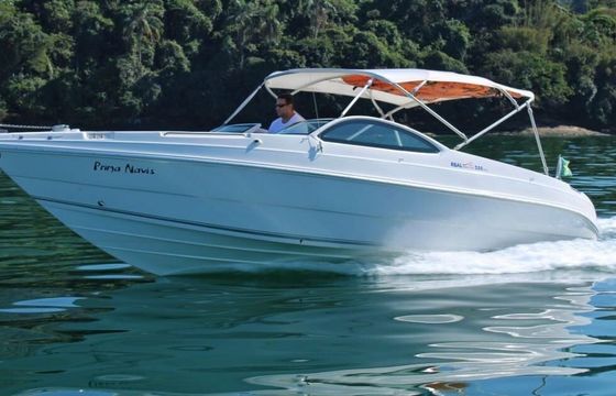 Motor yacht Real 25 feet 350hp
