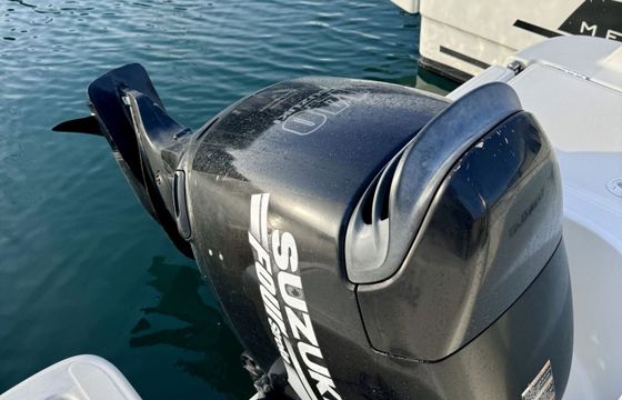Motorboat Jeanneau Cap Camarat 6.5 Cc 140hp