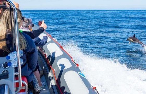 RIB Vanguard Marine 12 TXT