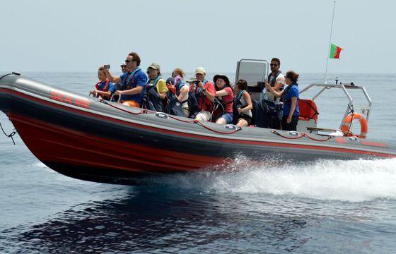 RIB Vanguard Marine 12 TXT
