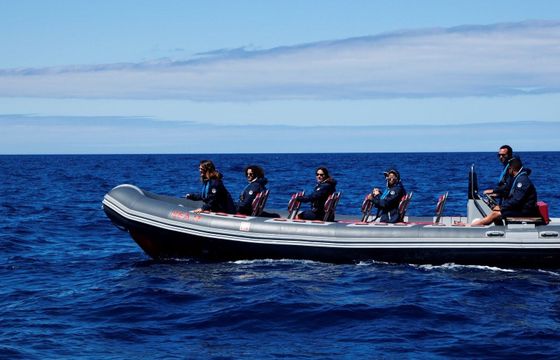 RIB Vanguard Marine 12 TXT
