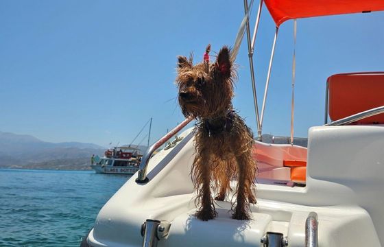 Boat without licence Poseidon BLU WATER 185 30hp