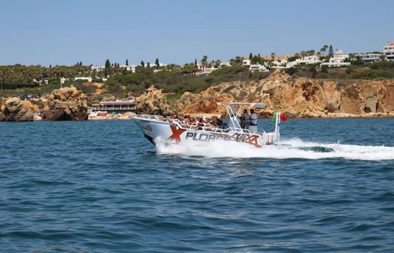 Motorboat Catamaran Clasique 520hp