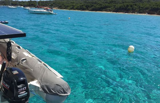 Catamaran Looping 50 15m