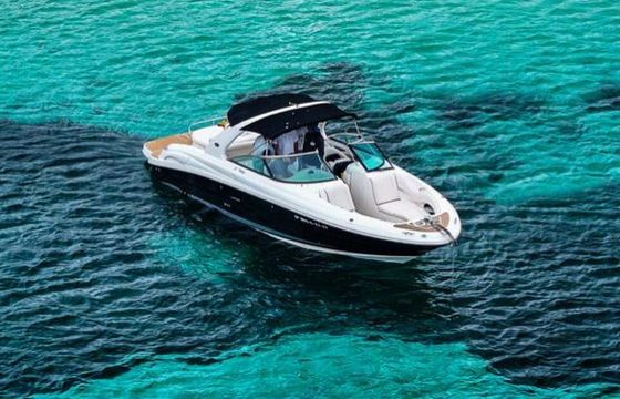 Motorboat Sea Ray 290 520hp