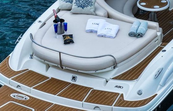 Motorboat Sea Ray 290 520hp