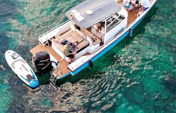 Motorboat Axopar 28 T-top 300hp