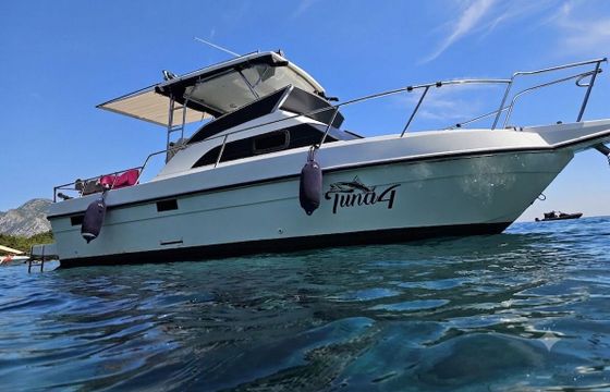 Motorboat King Fisher 750 250hp
