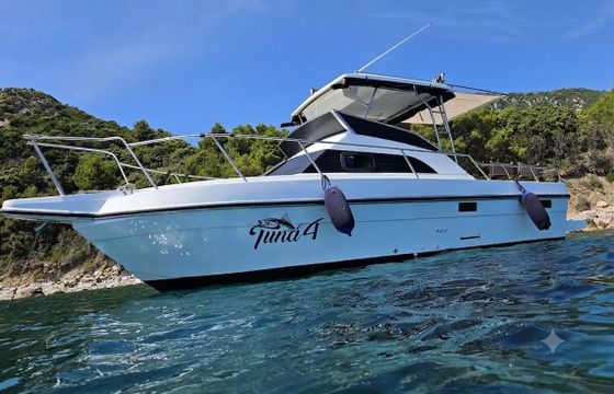 Motorboat King Fisher 750 250hp