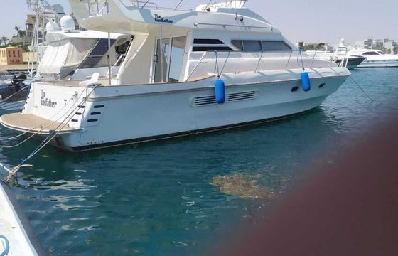 Motor yacht Birchwood boats 44 Motor Yacht 350hp