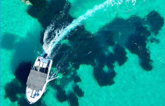 Motorboat Sessa Marine Key Largo 175hp
