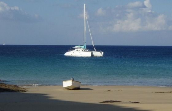 Catamaran Looping 50 Bluenote 15m