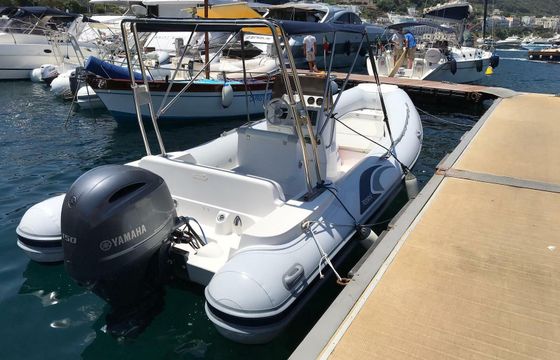 RIB Predator 6,80 150hp