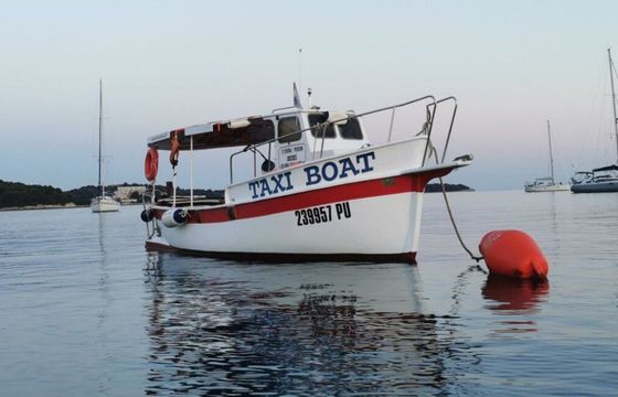 Motorboat Barbagelata LIFE BOAT 75hp