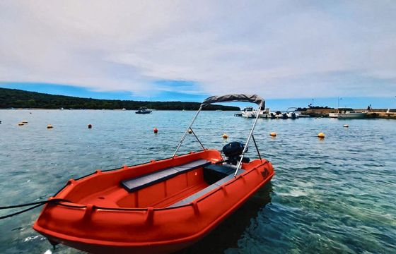 Boat without licence 2023 Whaly 370 8hp