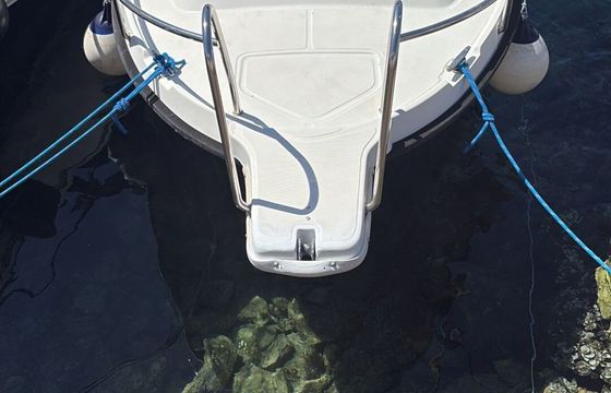 Boat without licence  VEN 501k 8hp