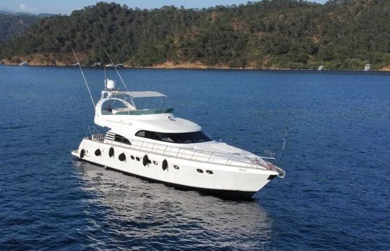 Motorboat Custom Made 2018