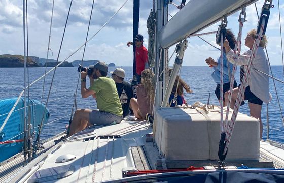 Sailboat Jeanneau Sun Odyssey 45.2 14m