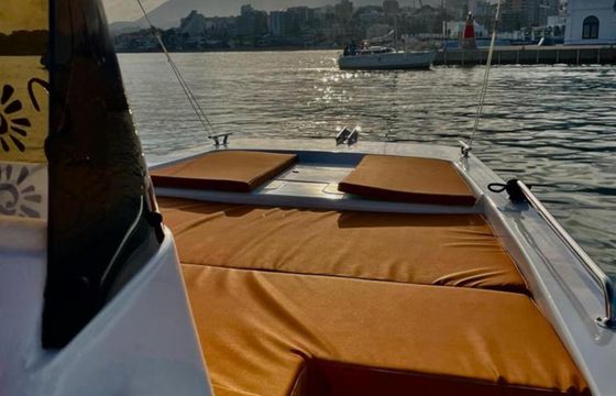 Boat without licence  NUEVA 2024!!!! BARCO PRIVADO PARA AVISTAMIENTO DE DELFINES 15hp