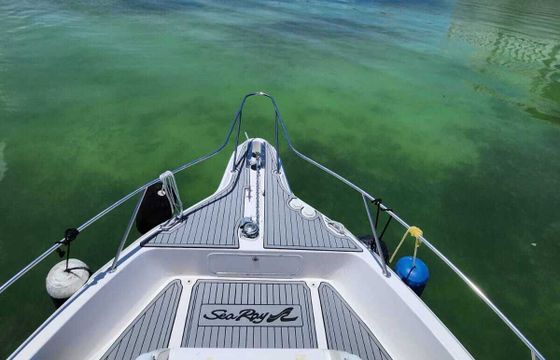 Motor yacht Sea Ray 2010 300hp