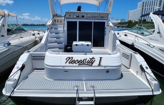 Motor yacht Sea Ray 2010 300hp