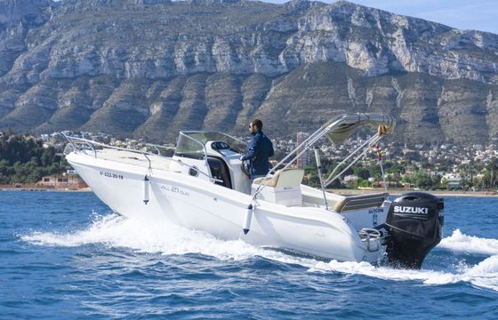 Motorboat ALLEGRA ALLEGRA21SUN 150hp