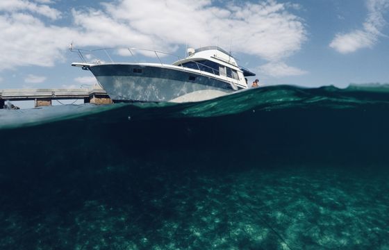 Motorboat SILVERTON Convertible 37 640hp