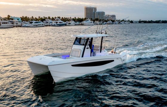 Motorboat Aquila Aquila 28 200hp