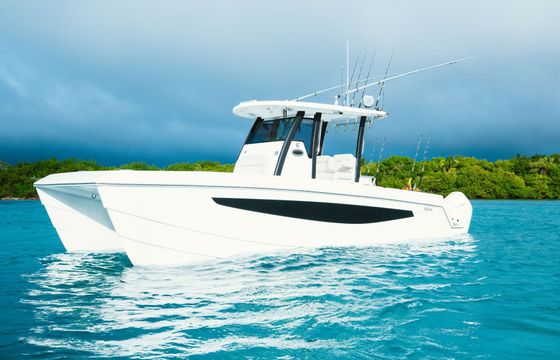 Motorboat Aquila Aquila 28 200hp