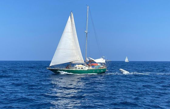 Gulet Traversée CONTINENT/CORSE votre voyage en corse à la voile sur une goelette 15.5m