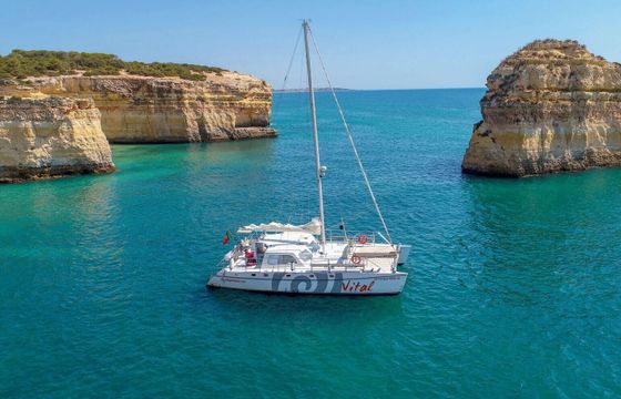 Catamaran Sailing Catamaran Custom 15.12m
