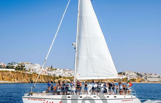 Catamaran Sailing Catamaran Custom 15.12m