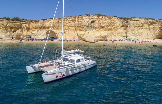 Catamaran Sailing Catamaran Custom 15.12m
