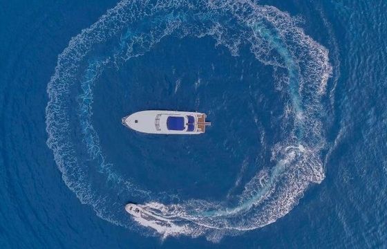 Motorboat Princess 50 700hp