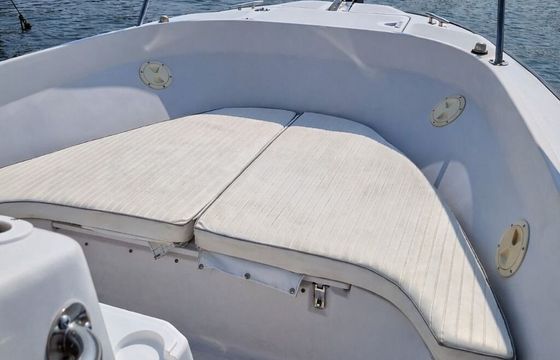 Motorboat Boston Whaler Outrage 21 250hp
