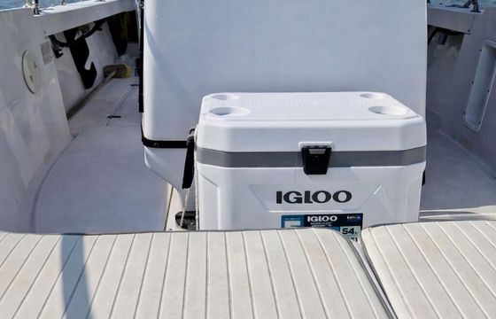 Motorboat Boston Whaler Outrage 21 250hp