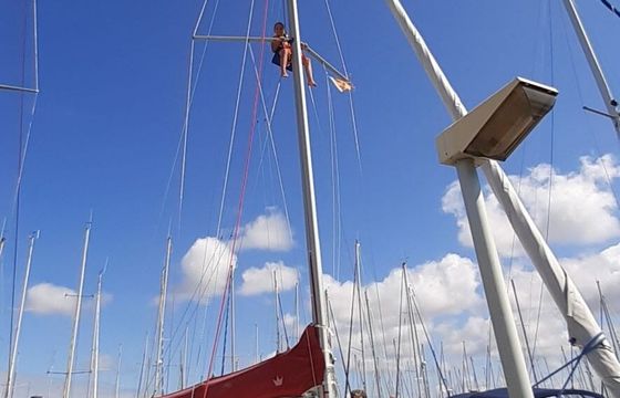 Sailboat Beneteau Oceanis 311 clipper 9.5m