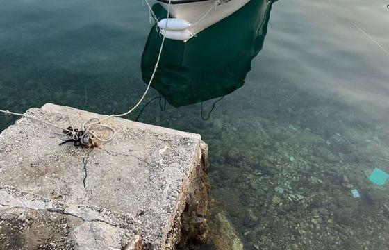 Boat without licence  Betina Betina 490 6hp