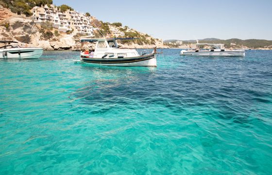 Boat without licence Bayliner Element E16 15hp