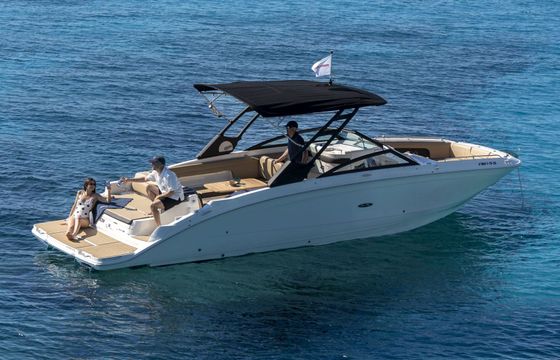 Motorboat Sea Ray 290
