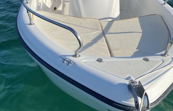 Motorboat Ranieri Shark 17