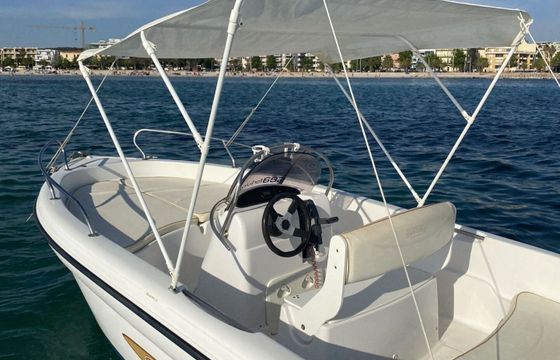 Motorboat Ranieri Shark 17