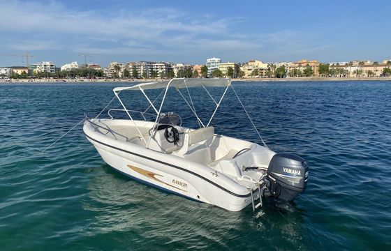 Motorboat Ranieri Shark 17