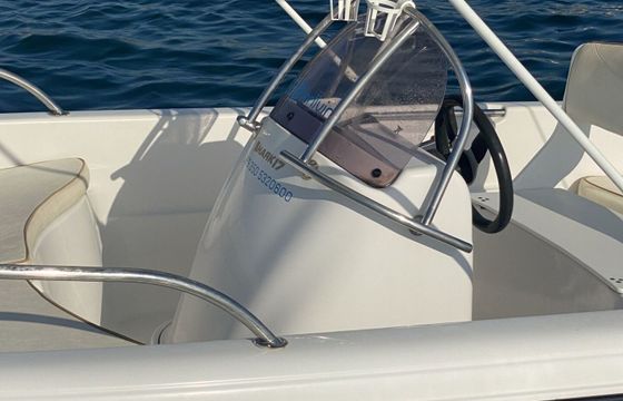 Motorboat Ranieri Shark 17